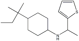 4-(2-methylbutan-2-yl)-N-[1-(thiophen-2-yl)ethyl]cyclohexan-1-amine