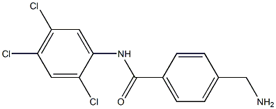 4-(aminomethyl)-N-(2,4,5-trichlorophenyl)benzamide 结构式