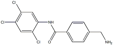 4-(aminomethyl)-N-(2,4,5-trichlorophenyl)benzamide,,结构式