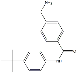 4-(aminomethyl)-N-(4-tert-butylphenyl)benzamide,,结构式