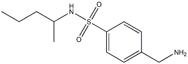 4-(aminomethyl)-N-(pentan-2-yl)benzene-1-sulfonamide Structure