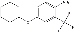 4-(cyclohexyloxy)-2-(trifluoromethyl)aniline,,结构式