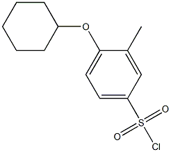 4-(cyclohexyloxy)-3-methylbenzene-1-sulfonyl chloride,,结构式