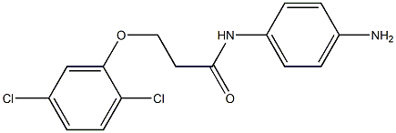 N-(4-aminophenyl)-3-(2,5-dichlorophenoxy)propanamide Struktur