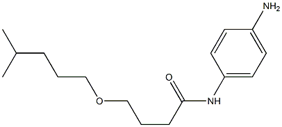 N-(4-aminophenyl)-4-[(4-methylpentyl)oxy]butanamide,,结构式
