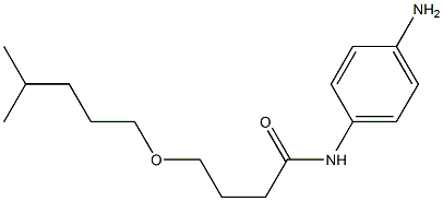  N-(4-aminophenyl)-4-[(4-methylpentyl)oxy]butanamide