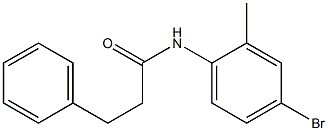 N-(4-bromo-2-methylphenyl)-3-phenylpropanamide Structure