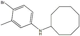 N-(4-bromo-3-methylphenyl)cyclooctanamine Structure