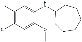 N-(4-chloro-2-methoxy-5-methylphenyl)cycloheptanamine,,结构式