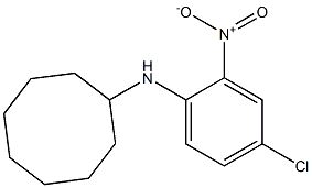 N-(4-chloro-2-nitrophenyl)cyclooctanamine Struktur