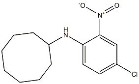 N-(4-chloro-2-nitrophenyl)cyclooctanamine Structure