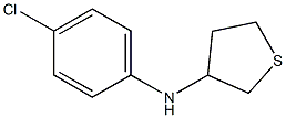 N-(4-chlorophenyl)thiolan-3-amine Structure