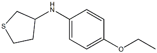 N-(4-ethoxyphenyl)thiolan-3-amine Struktur