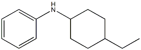 N-(4-ethylcyclohexyl)aniline 化学構造式