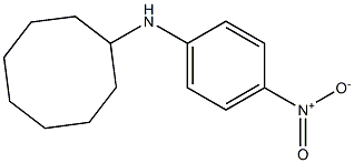 N-(4-nitrophenyl)cyclooctanamine Structure