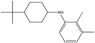 N-(4-tert-butylcyclohexyl)-2,3-dimethylaniline Structure