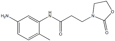 N-(5-amino-2-methylphenyl)-3-(2-oxo-1,3-oxazolidin-3-yl)propanamide Structure