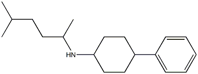 N-(5-methylhexan-2-yl)-4-phenylcyclohexan-1-amine,,结构式