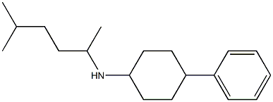  N-(5-methylhexan-2-yl)-4-phenylcyclohexan-1-amine