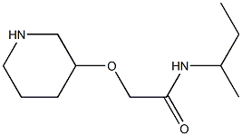 N-(butan-2-yl)-2-(piperidin-3-yloxy)acetamide,,结构式