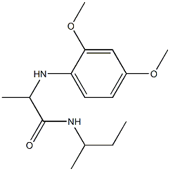 N-(butan-2-yl)-2-[(2,4-dimethoxyphenyl)amino]propanamide 化学構造式