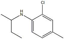 N-(butan-2-yl)-2-chloro-4-methylaniline Structure