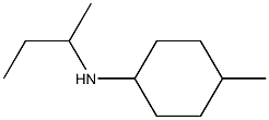 N-(butan-2-yl)-4-methylcyclohexan-1-amine 结构式