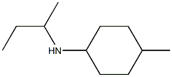 N-(butan-2-yl)-4-methylcyclohexan-1-amine 化学構造式