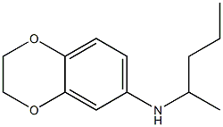 N-(pentan-2-yl)-2,3-dihydro-1,4-benzodioxin-6-amine Structure