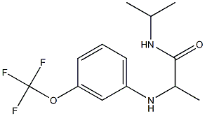 N-(propan-2-yl)-2-{[3-(trifluoromethoxy)phenyl]amino}propanamide 化学構造式