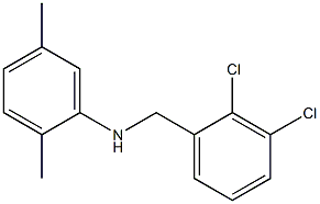 N-[(2,3-dichlorophenyl)methyl]-2,5-dimethylaniline 结构式