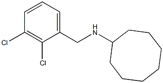 N-[(2,3-dichlorophenyl)methyl]cyclooctanamine Structure