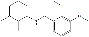 N-[(2,3-dimethoxyphenyl)methyl]-2,3-dimethylcyclohexan-1-amine