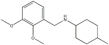 N-[(2,3-dimethoxyphenyl)methyl]-4-methylcyclohexan-1-amine Structure