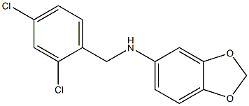 N-[(2,4-dichlorophenyl)methyl]-2H-1,3-benzodioxol-5-amine Struktur