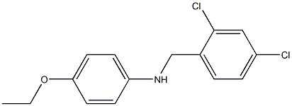 N-[(2,4-dichlorophenyl)methyl]-4-ethoxyaniline 结构式