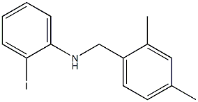 N-[(2,4-dimethylphenyl)methyl]-2-iodoaniline,,结构式