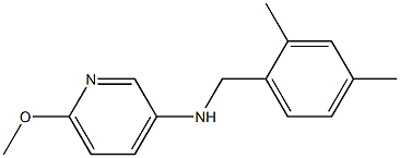 N-[(2,4-dimethylphenyl)methyl]-6-methoxypyridin-3-amine Structure