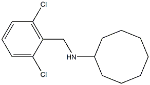N-[(2,6-dichlorophenyl)methyl]cyclooctanamine 结构式