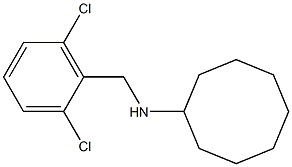 N-[(2,6-dichlorophenyl)methyl]cyclooctanamine 化学構造式