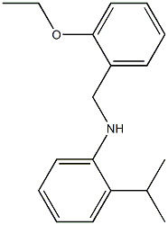 N-[(2-ethoxyphenyl)methyl]-2-(propan-2-yl)aniline