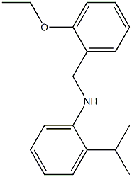 N-[(2-ethoxyphenyl)methyl]-2-(propan-2-yl)aniline Structure