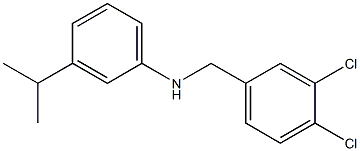 N-[(3,4-dichlorophenyl)methyl]-3-(propan-2-yl)aniline 结构式