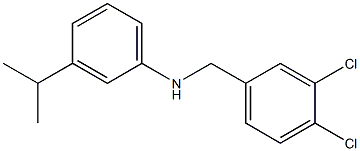 N-[(3,4-dichlorophenyl)methyl]-3-(propan-2-yl)aniline,,结构式