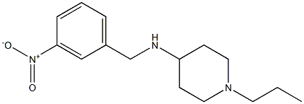 N-[(3-nitrophenyl)methyl]-1-propylpiperidin-4-amine|