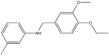 N-[(4-ethoxy-3-methoxyphenyl)methyl]-3-iodoaniline,,结构式