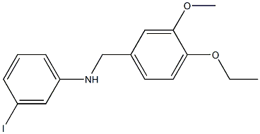 N-[(4-ethoxy-3-methoxyphenyl)methyl]-3-iodoaniline 化学構造式