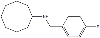 N-[(4-fluorophenyl)methyl]cyclooctanamine Struktur
