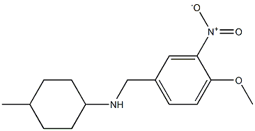 N-[(4-methoxy-3-nitrophenyl)methyl]-4-methylcyclohexan-1-amine Structure