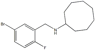 N-[(5-bromo-2-fluorophenyl)methyl]cyclooctanamine Structure